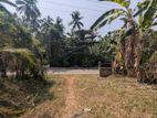 Land for Sale in Kaleliya