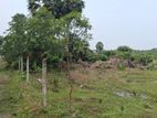 Land For Sale in Kalkudah (SSPL-333)