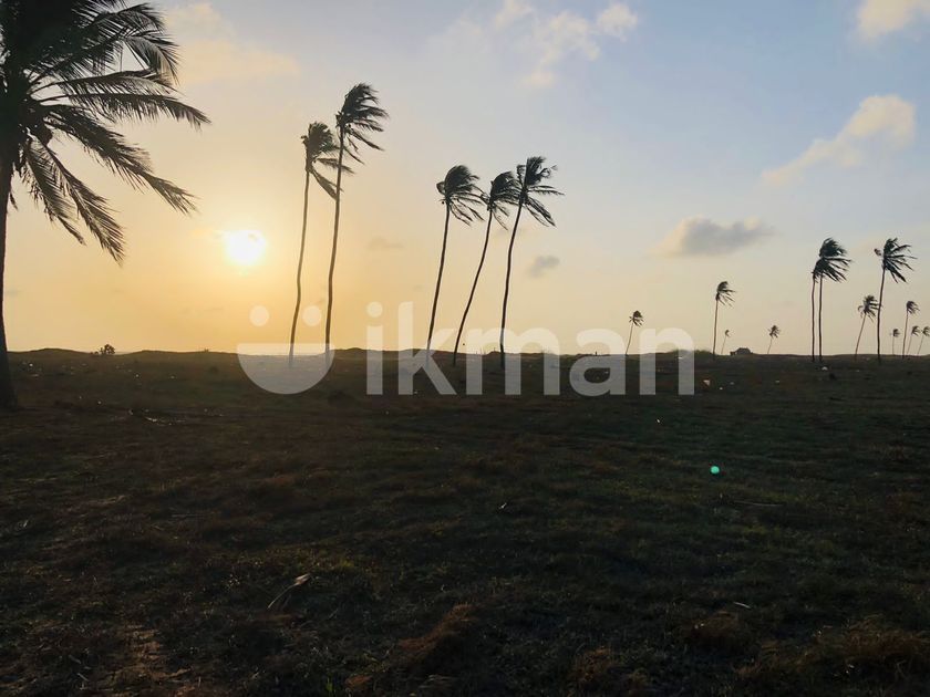 Land for Sale in Kalpitiya CL510 ikman
