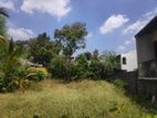 Land for Sale in Kalubovila Town