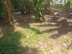 Land for Sale in Kalubowila