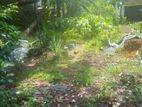 Land for Sale in Kalubowila