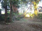 Land for Sale in Kalubowila