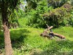 Land for Sale in Kalubowila LS-597
