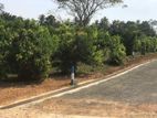 Land for sale in Kalutara Alwiswatta