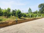 Land for Sale in Kalutara Alwiswatta