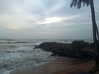 Land For Sale in Kalutara - CL727