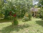 Land for Sale in Kalutara