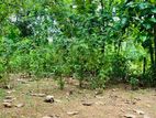 Land for Sale in Kalutara