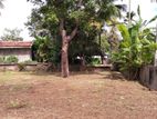 Land for Sale in Kalutara