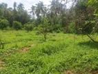 Land For Sale in Kalutara