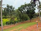 Land for Sale in Kalutara Nagoda
