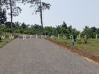 Land for sale in Kalutara Palathota road