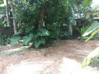 Land for Sale in Kalutara South