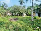 Land For Sale in Kalutara (SSPL-312)