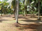 Land for Sale in kalutara with 11.55p block