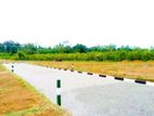 Land for Sale in Kaluthara Dodangoda