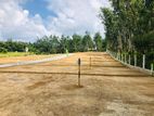 Land for Sale in Kaluthara Dodangoda
