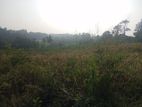 Land for Sale in Kaluthara
