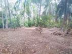 Land For Sale In Kaluthara
