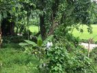 Land for Sale in Kaluthara Malwatta Junction