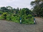 Land for sale in Kaluthara town