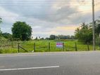 Land for Sale in Kaluthavalai Main Road