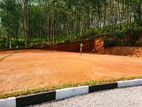 Land For Sale in Kaluthra