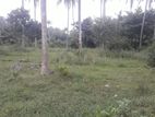 Land for sale in Kaluwarippuwa, Katana