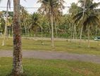 Land for Sale in Kamburugamuwa