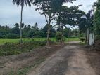 Land for Sale in Kamburugamuwa