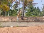 Land for Sale in Kamburugamuwa