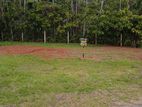 Land for Sale in Kamburugamuwa, Matara