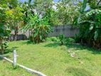 Land for sale in Kandana close main road