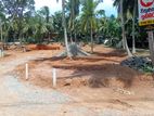 Land for Sale in Kandana Dolahena Road Luxury