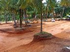 Land for Sale in Kandana Dolahena Road Luxury