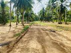 Land for Sale in Kandana,