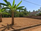 Land for Sale in Kandana