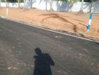 Land for Sale in Kandana