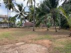 Land for Sale in Kandana