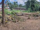 Land for Sale in Kandana, Hapugoda