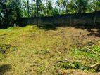 Land for sale in kandana / KM 16210