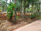 Land for Sale in Kandana Limit Walking Distance to Main Bus route