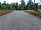 Land for Sale in Kandana Limit Walking Distance to Main Bus route