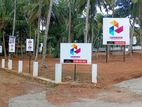 Land for Sale in Kandana Limit Walking Distance to Main Bus route