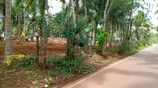 Land for Sale in Kandana Walking Distance to Ganemulla Bus route