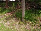 Land for Sale in Kandawala, Katana