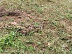 Land for sale in kandawala, Negombo