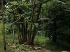 Land for sale in Kandy 200M from A9 main Road