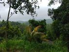 Land for Sale in Kandy Abatanna